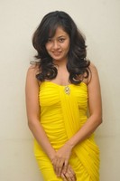 Anupoorva Spicy Gallery